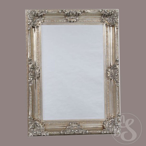 Monica.Silver Rectangular Classic Mirror.